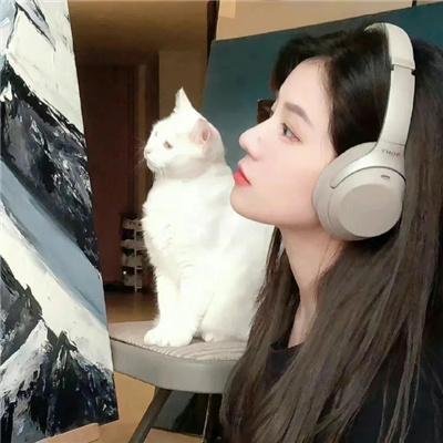小岛奇谭